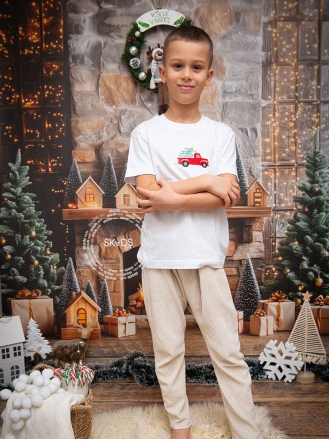 Chalani nemajú veľmi radi prečačkané tričká, tak toto Vianočné bude ako pre nich. Jednoduché, ale pritom tématické a veľmi...